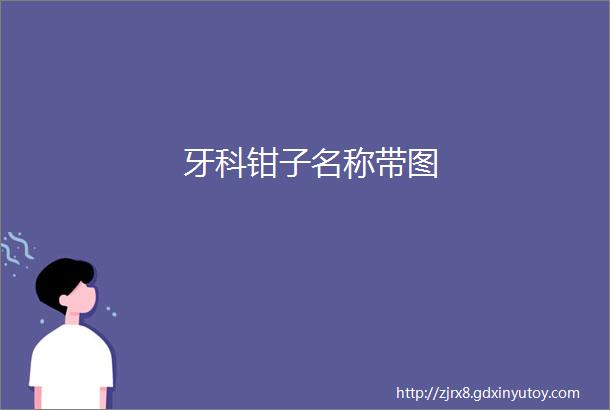 牙科钳子名称带图